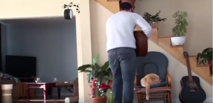 Merasa tidur terganggu, Kucing ini menghukum pemilliknya.