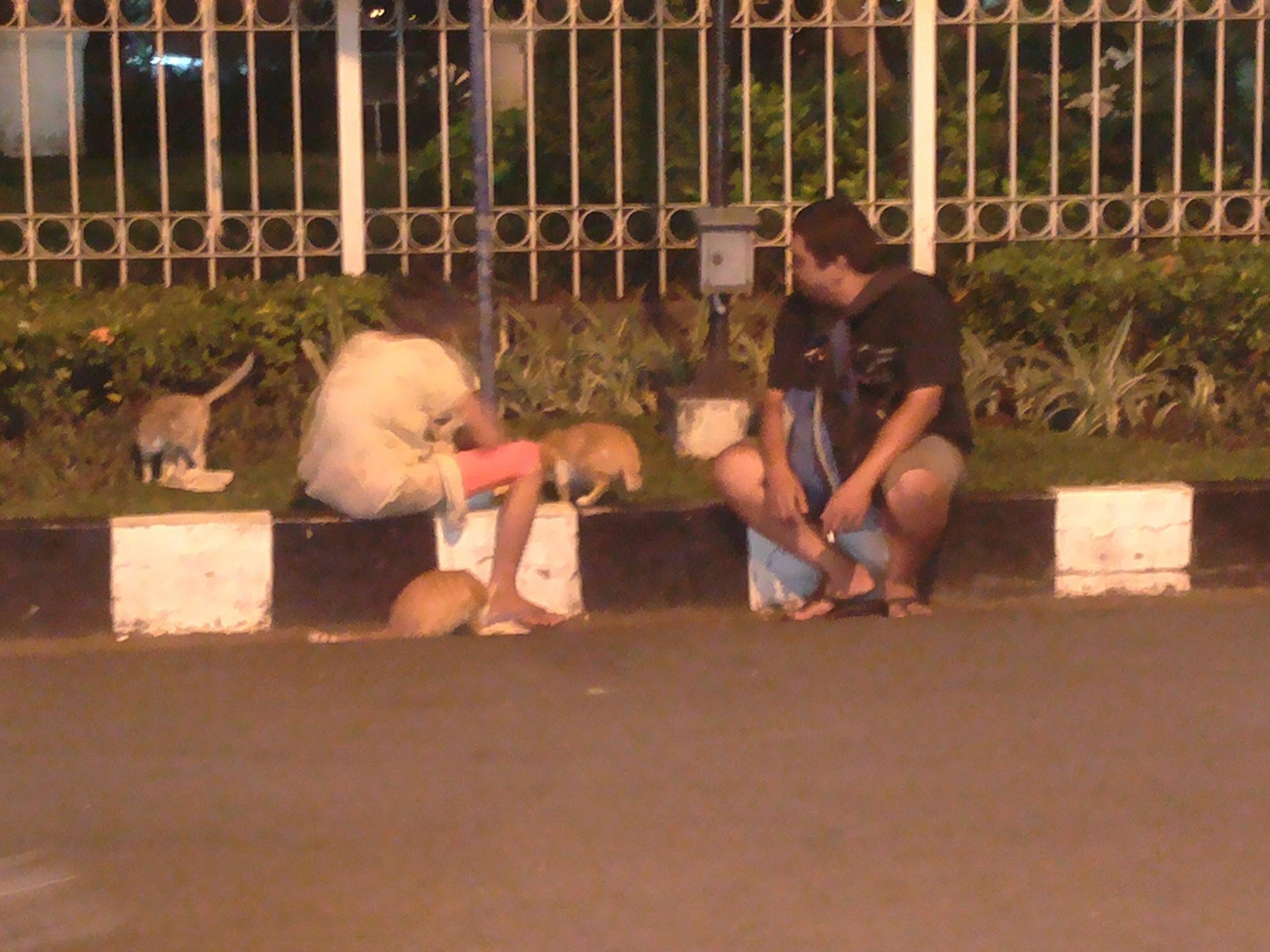 penulis dan nenek VOC