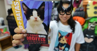 Masyarakat Meksiko memilih Kucing sebagai walikotanya