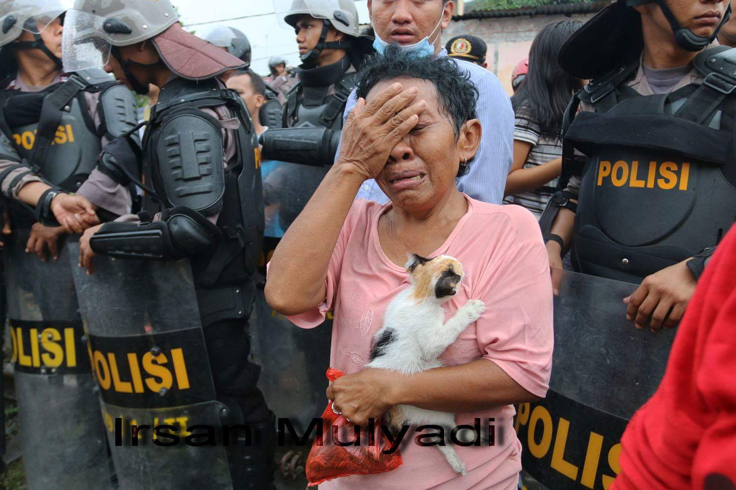 Mariana, Robohnya Rumah dan 16 Ekor Kucing.