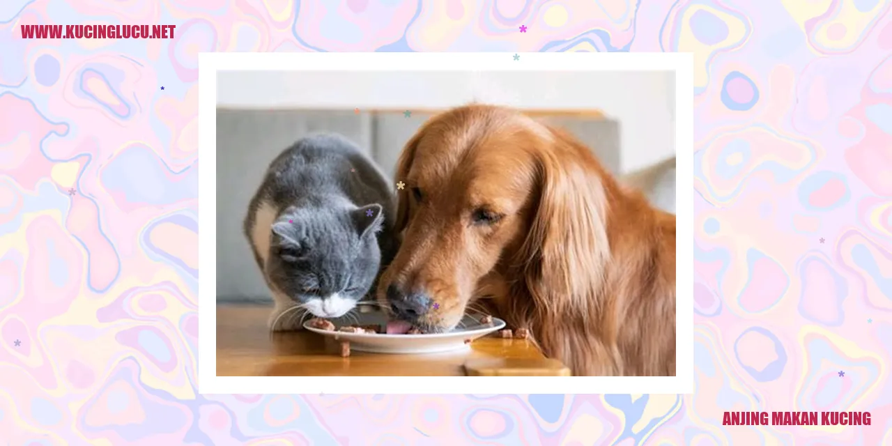 Sejarah Anjing yang Memangsa Kucing