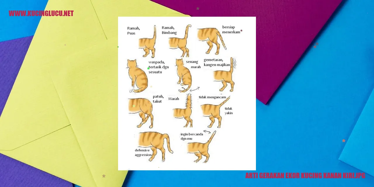 Kucing dengan gerakan ekor kanan kiri
