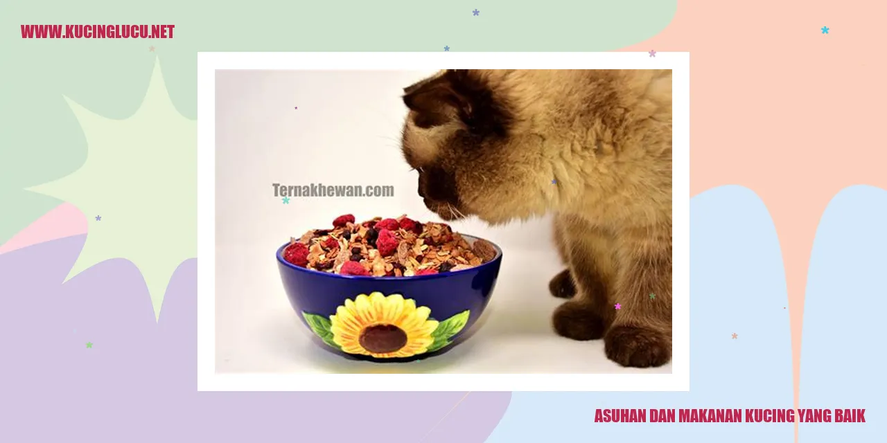 Kucing dan Makanan Kucing