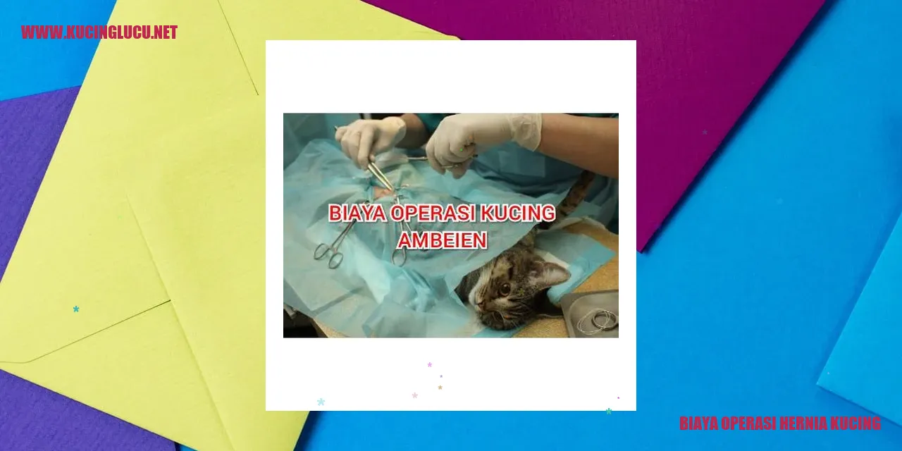 Biaya Operasi Hernia Kucing