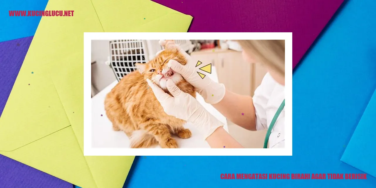 Gambar Kucing