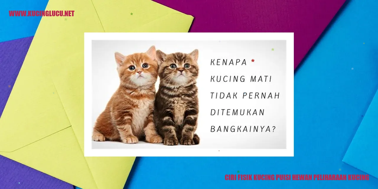 Ciri Fisik Kucing