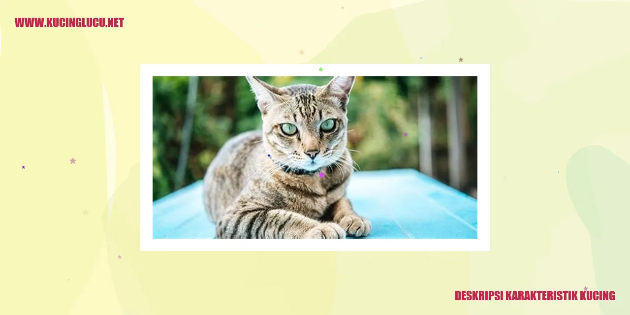 ilustrasi kucing yang menggemaskan