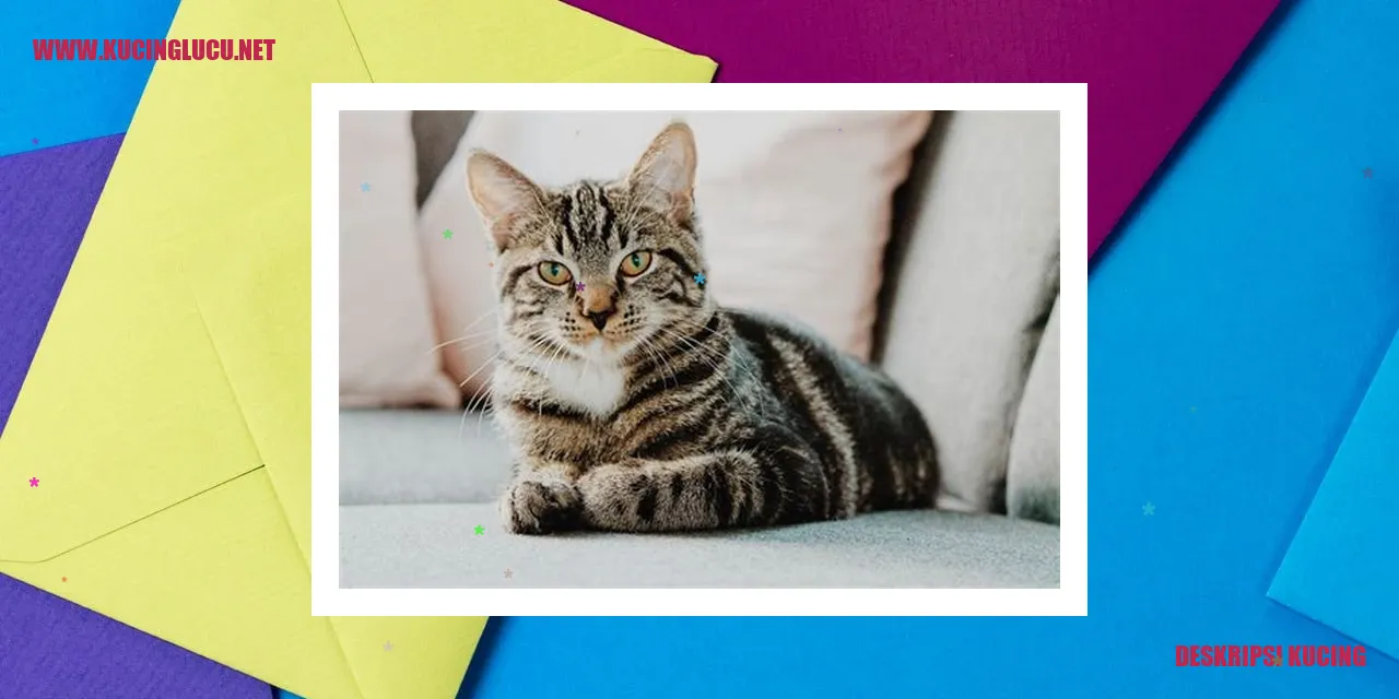 Penjelasan mengenai kucing