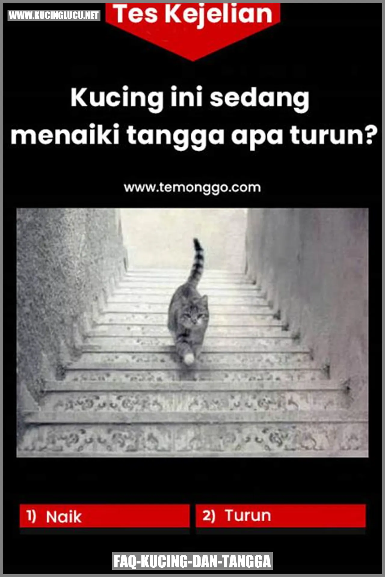 FAQ-Kucing-dan-Tangga