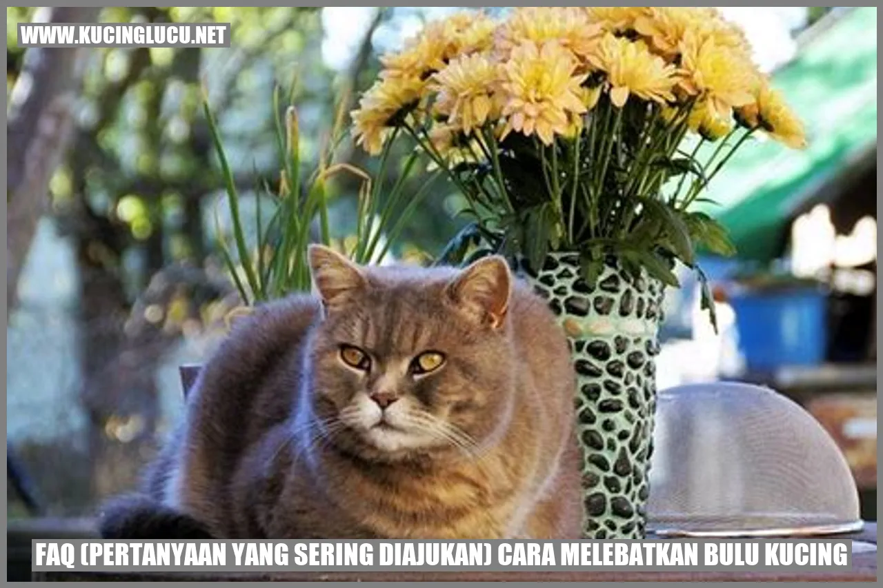 Cara Melebatkan Bulu Kucing
