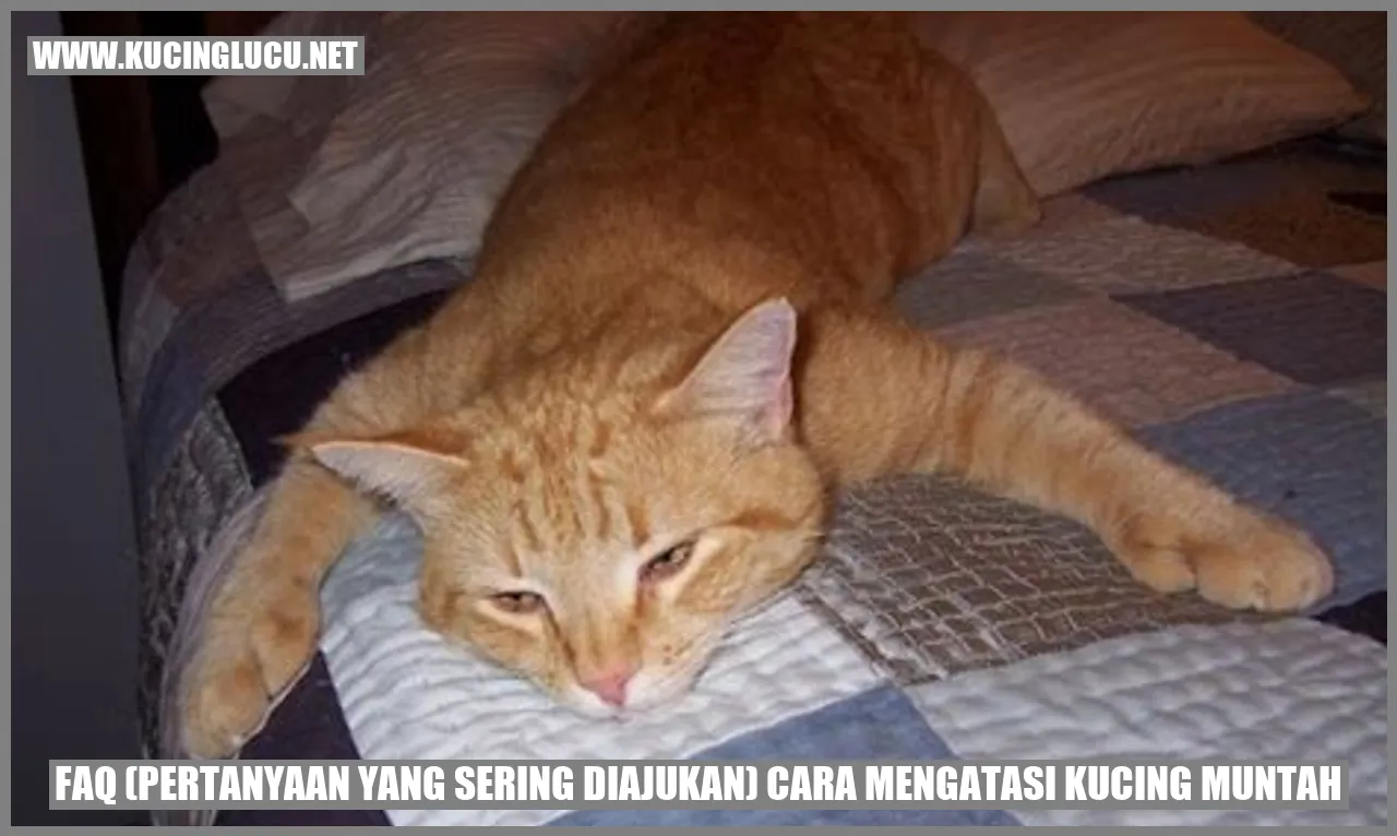 gambar kucing muntah