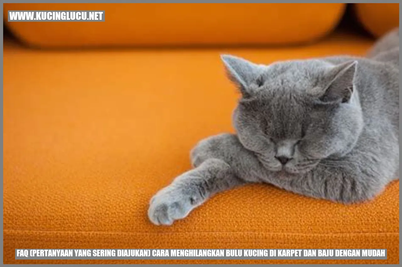 Gambar Kucing