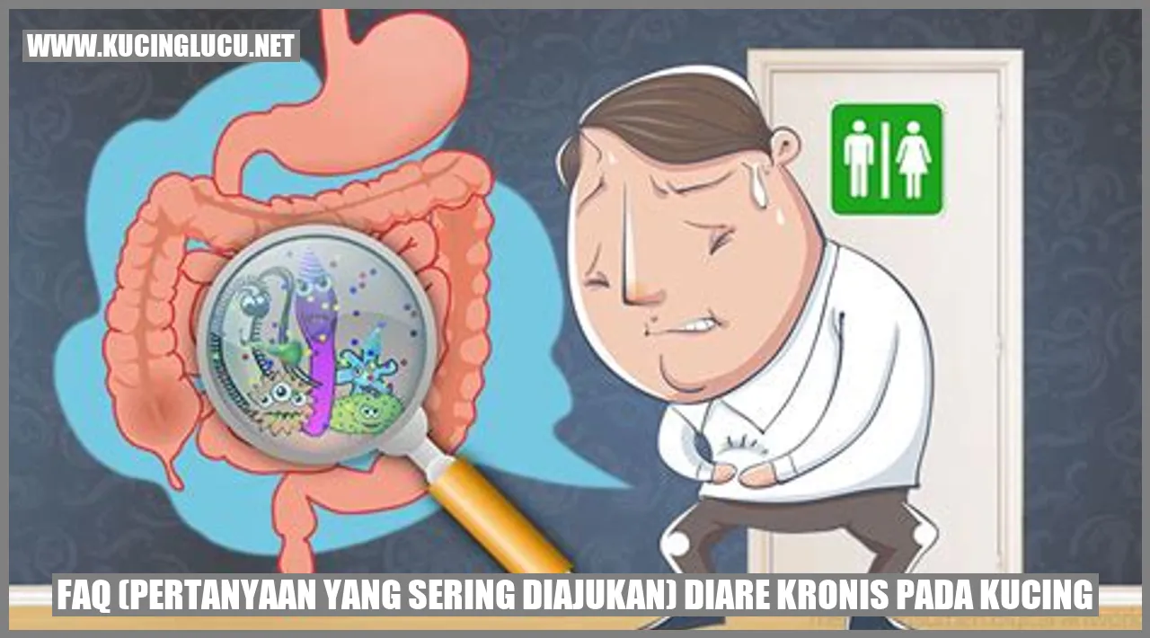 Gambar Kucing