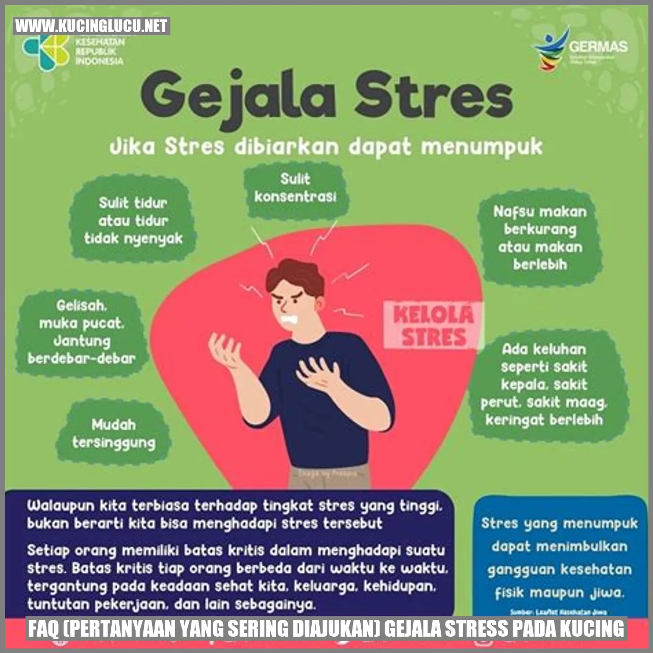 Gambar Pertanyaan yang Sering Diajukan tentang Gejala Stress pada Kucing