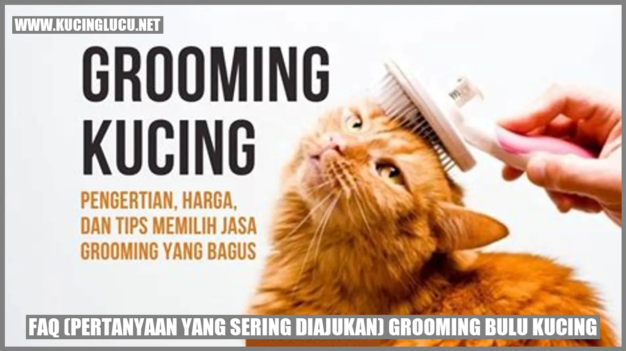 FAQ grooming bulu kucing