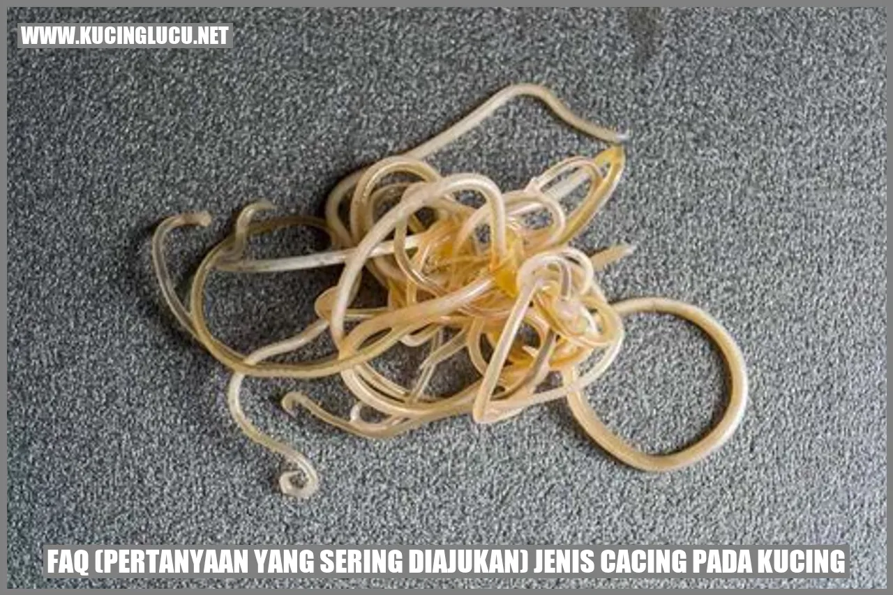 ilustrasi cacing pada kucing
