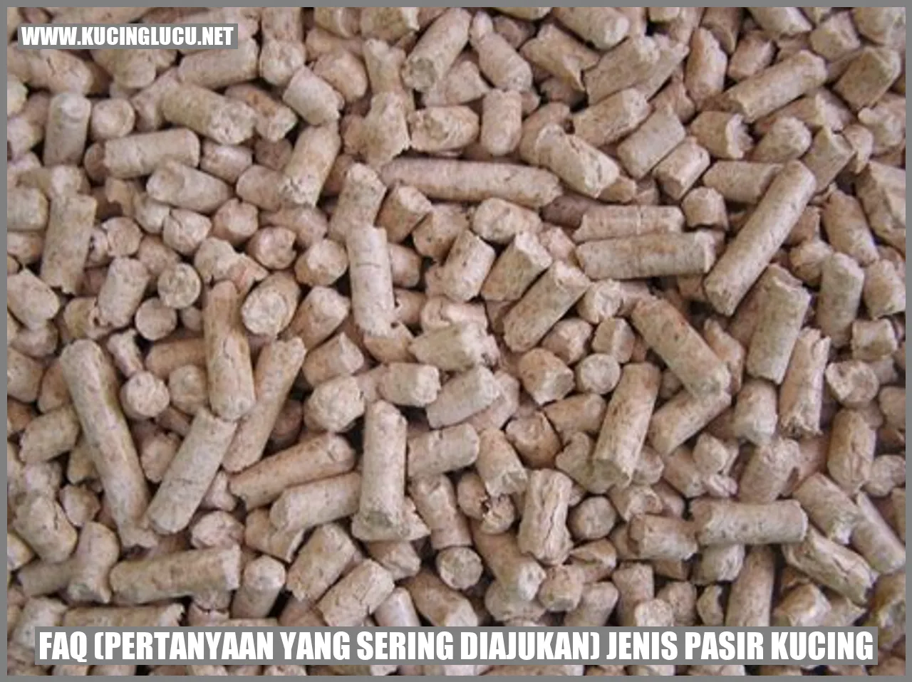 Gambar Pasir Kucing