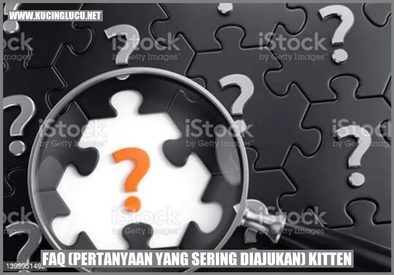Gambar FAQ kitten