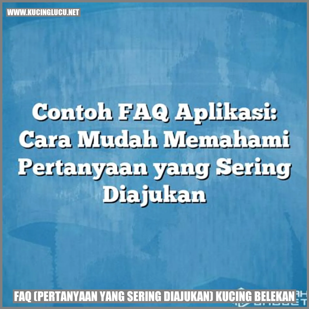 FAQ (Pertanyaan yang Sering Diajukan) kucing belekan