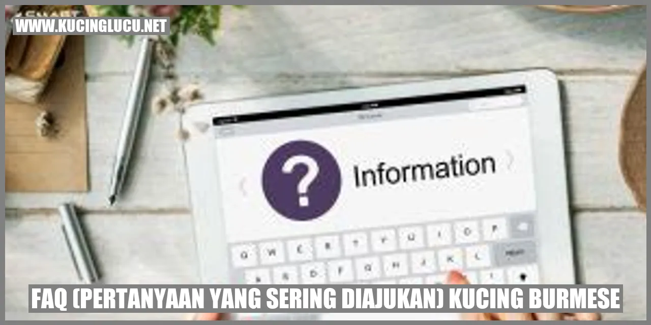 Kucing Burmese FAQ