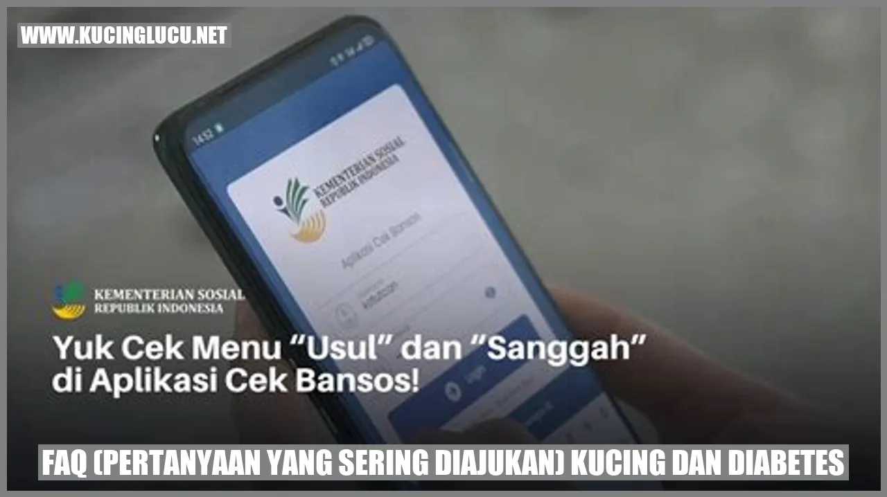 Ilustrasi Pertanyaan yang Sering Diajukan tentang Kucing dan Diabetes