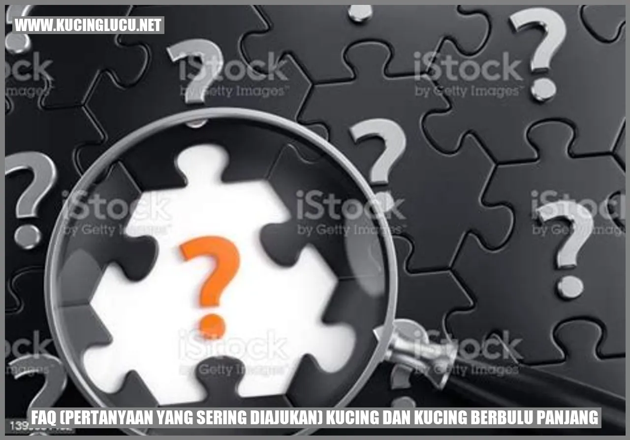 Gambar FAQ (Pertanyaan yang Sering Diajukan) Kucing dan Kucing Berbulu Panjang