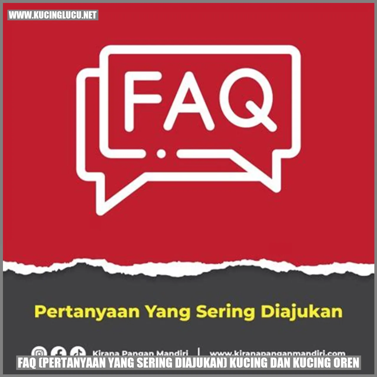 Gambbar FAQ Kucing dan Kucing Oren