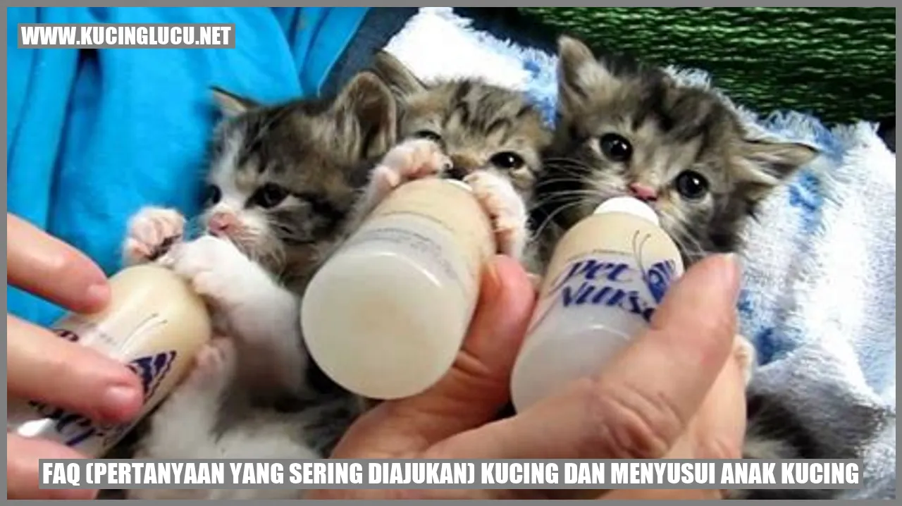 Gambar Kucing dan Anak Kucing