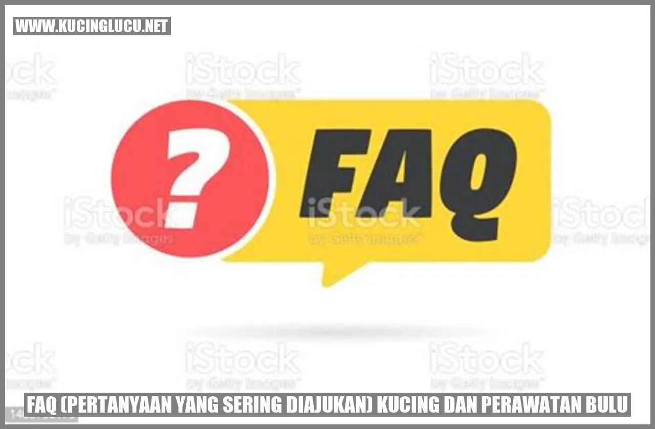Gambar kucing dengan bulu yang sehat