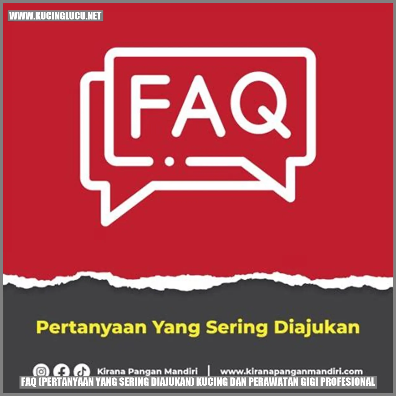 Pertanyaan yang Sering Diajukan Kucing dan perawatan gigi profesional