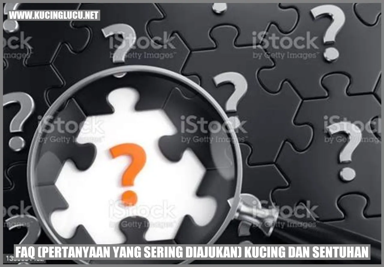 FAQ (Pertanyaan yang Sering Diajukan) Kucing dan sentuhan