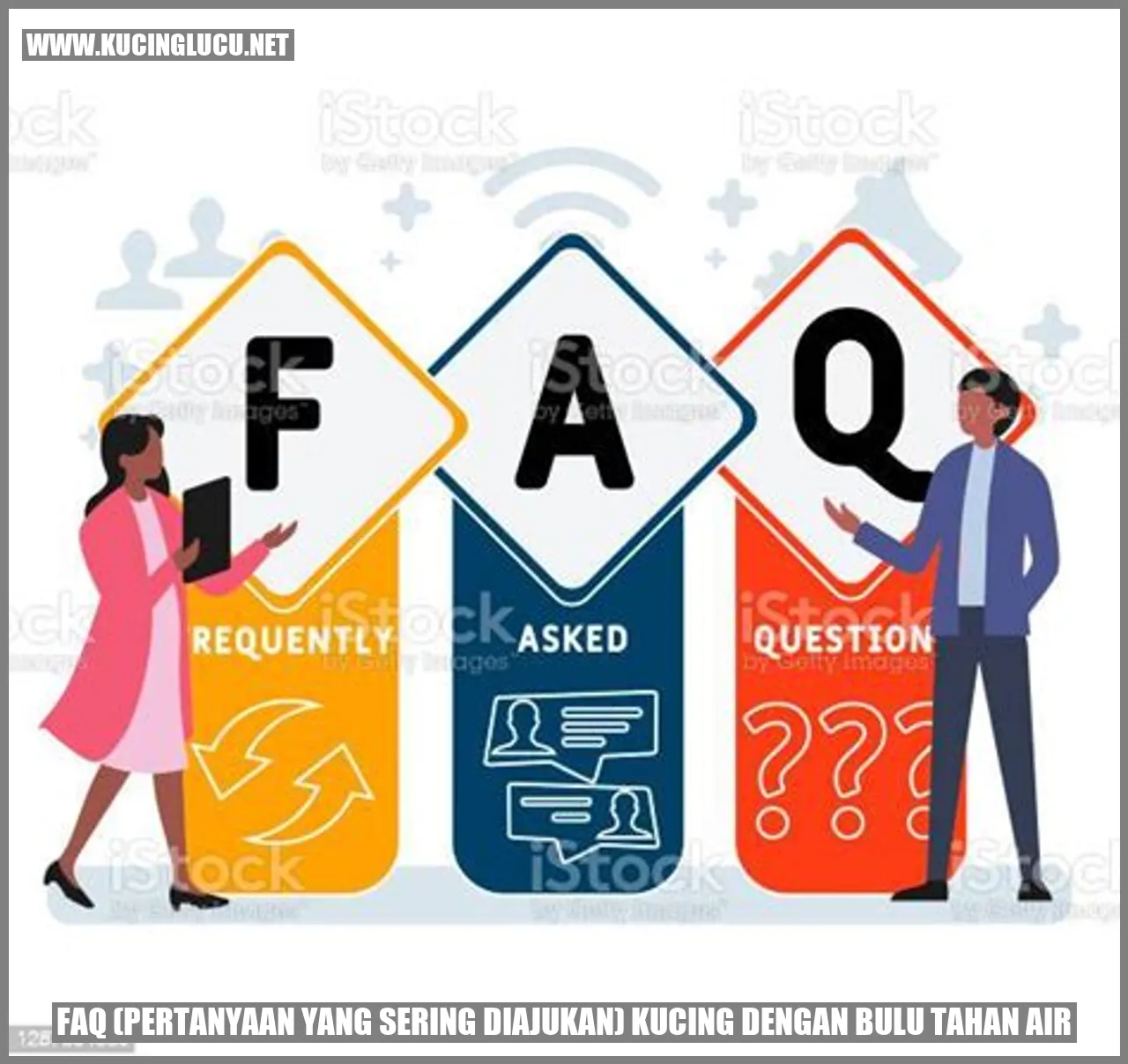 Kucing dengan Bulu Tahan Air