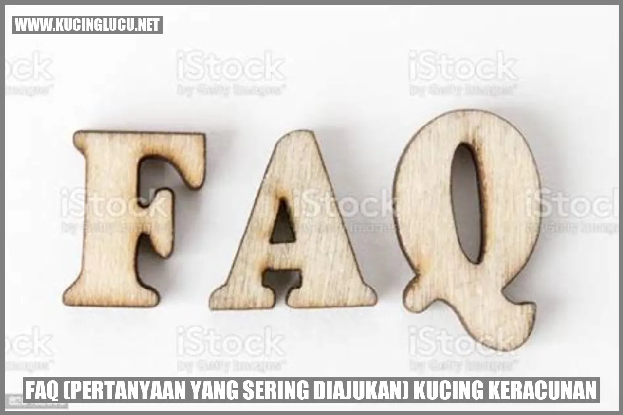 Gambar kucing yang sedang merasa sakit