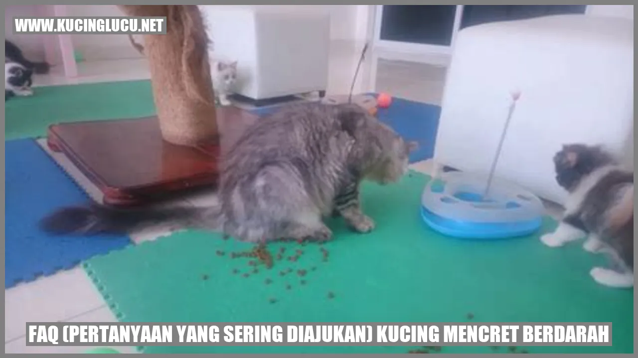 Kucing Mencret Berdarah