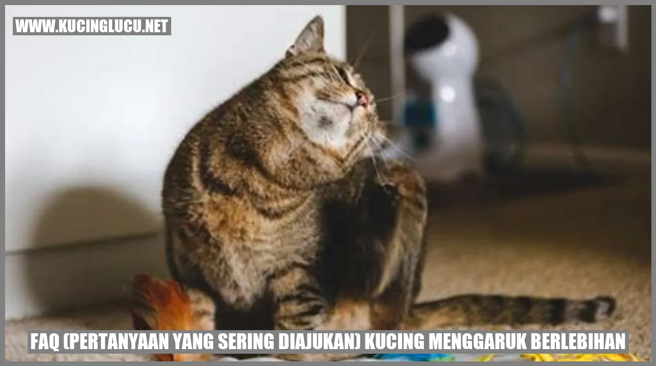Gambar Kucing Menggaruk Berlebihan
