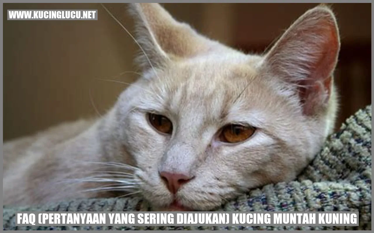 Permasalahan Muntah Kuning pada Kucing