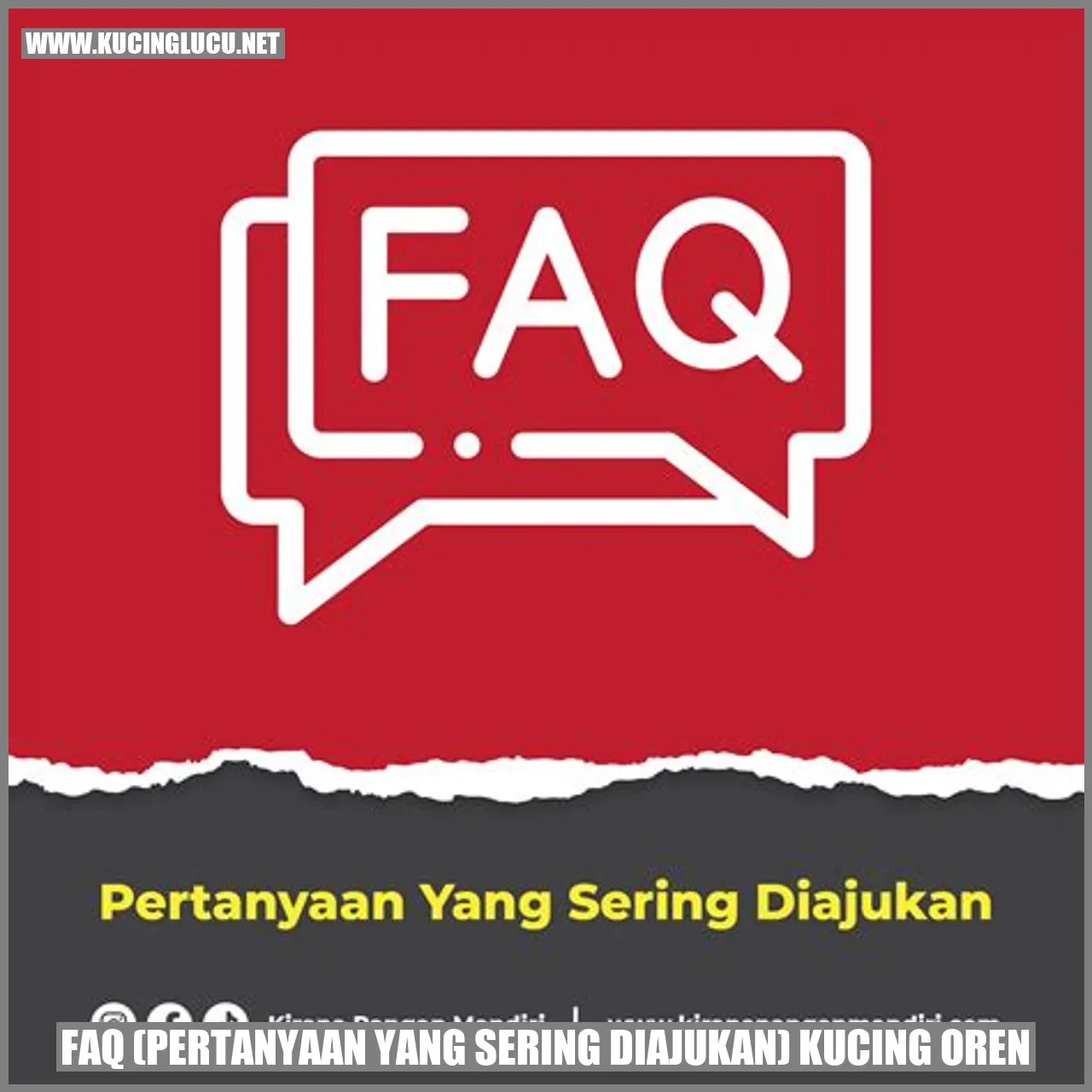Gambar Kucing Oren