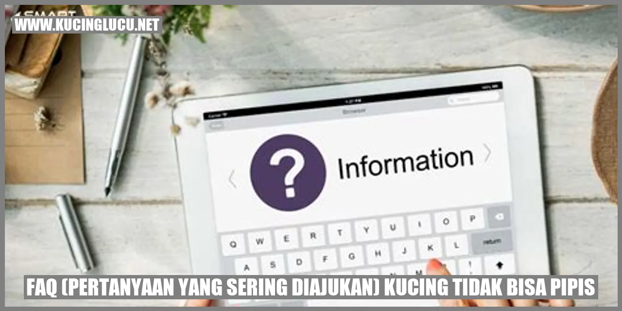 Kucing Tidak Bisa Pipis