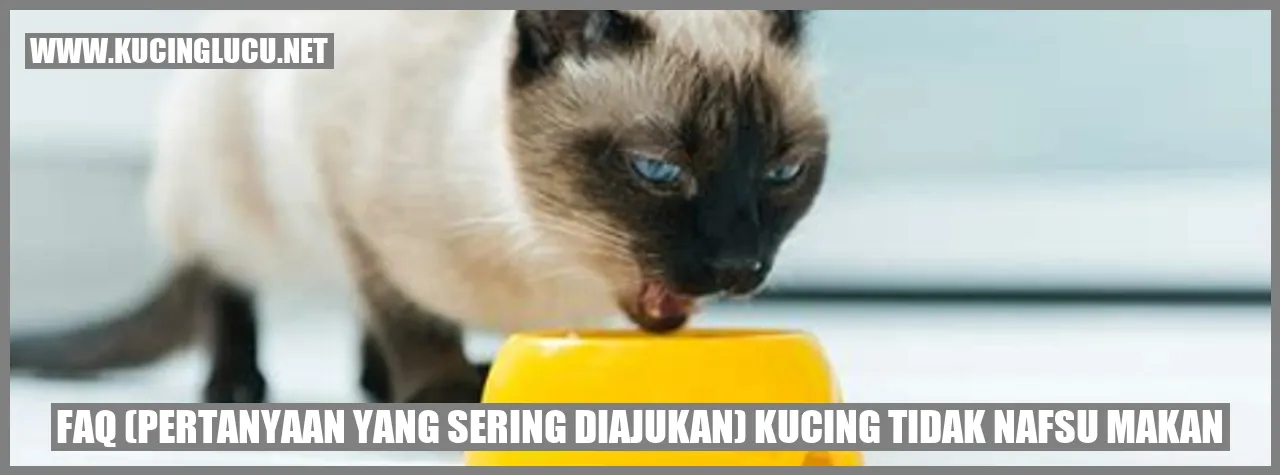 Gambar seekor kucing yang kesulitan makan