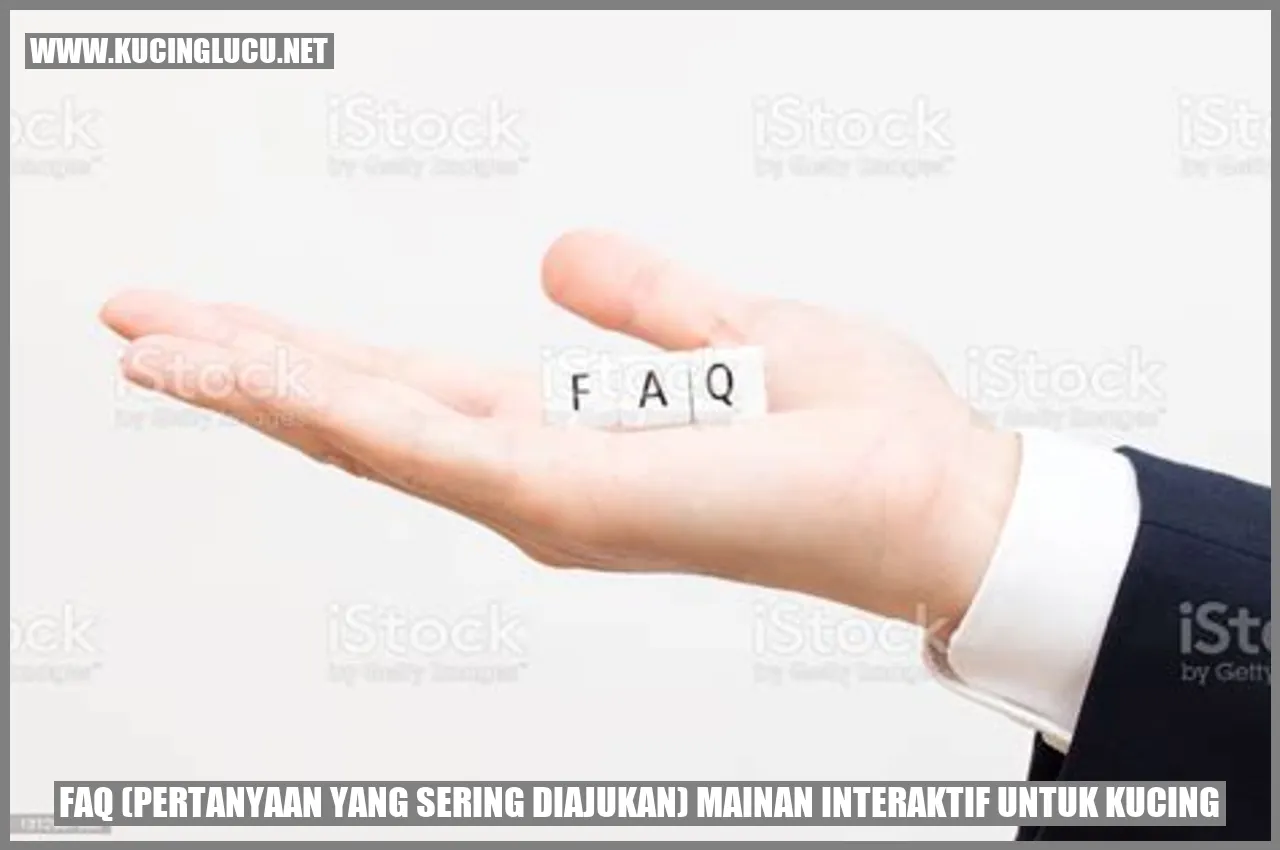 Mainan interaktif untuk kucing