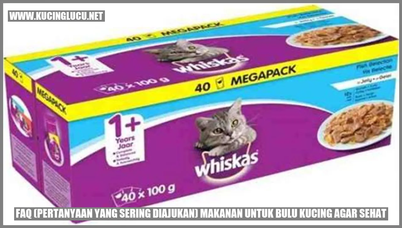 Makanan untuk Bulu Kucing agar Sehat
