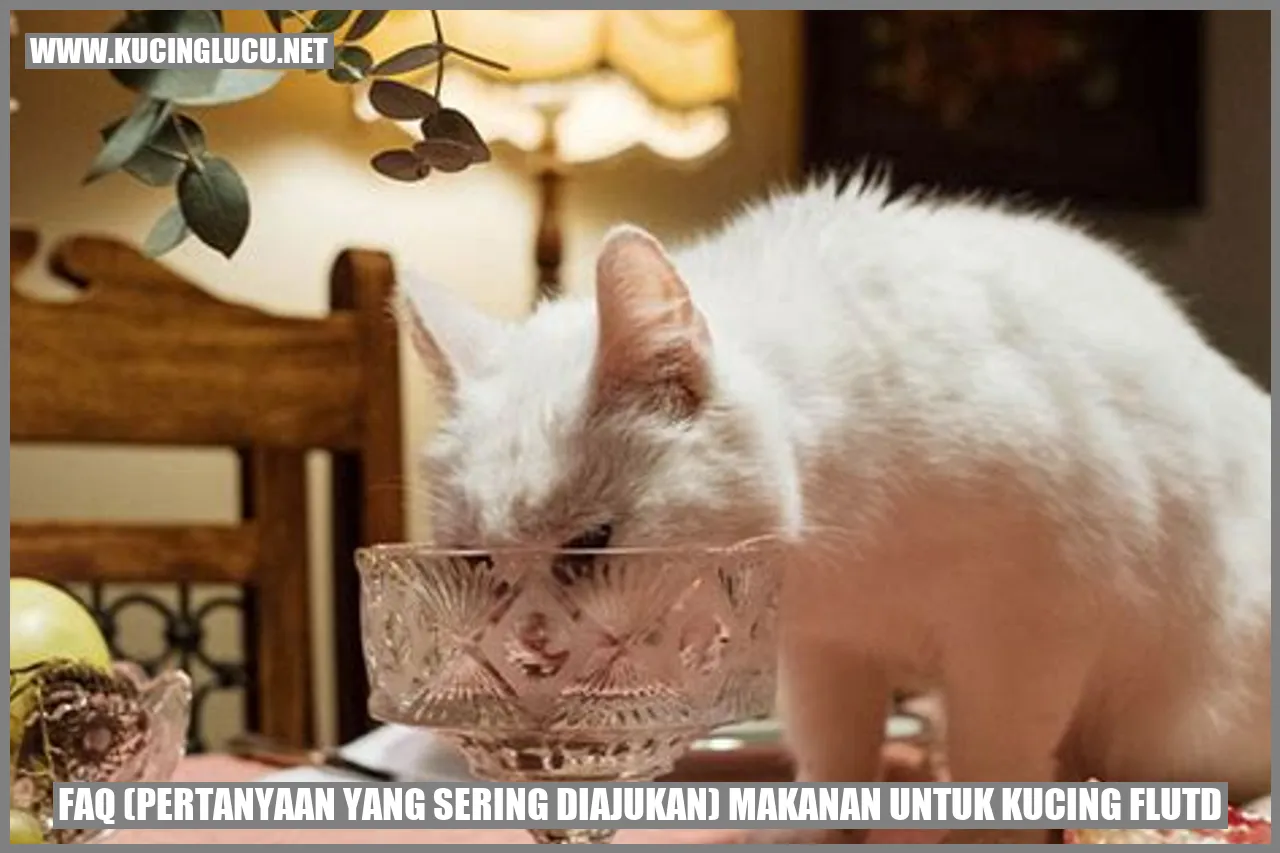 Pertanyaan yang Sering Diajukan