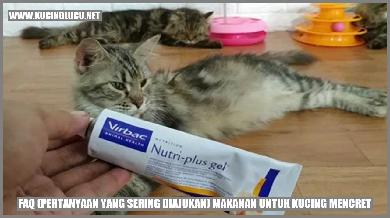 Gambarnya FAQ Makanan untuk Kucing Mencret