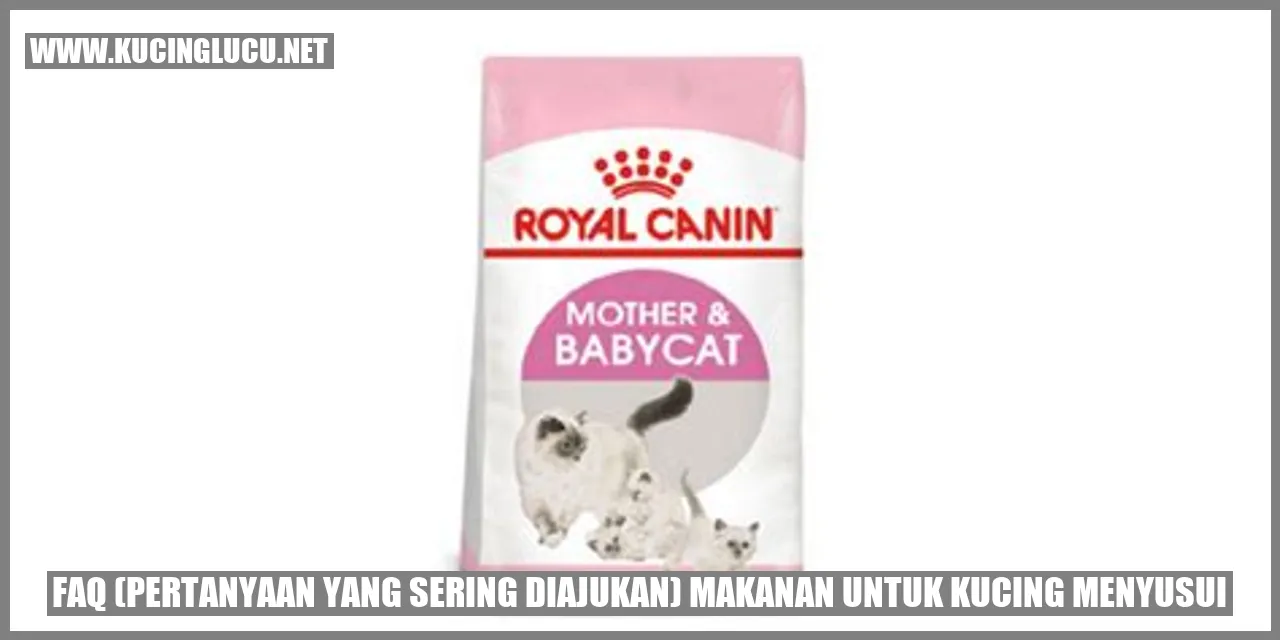 Pertanyaan yang Sering Diajukan tentang Makanan untuk Kucing Menyusui