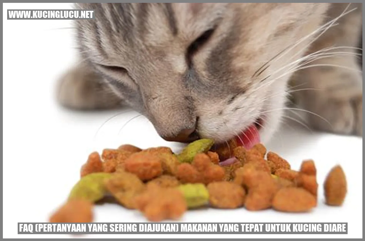 Makanan yang Tepat untuk Kucing dengan Diare