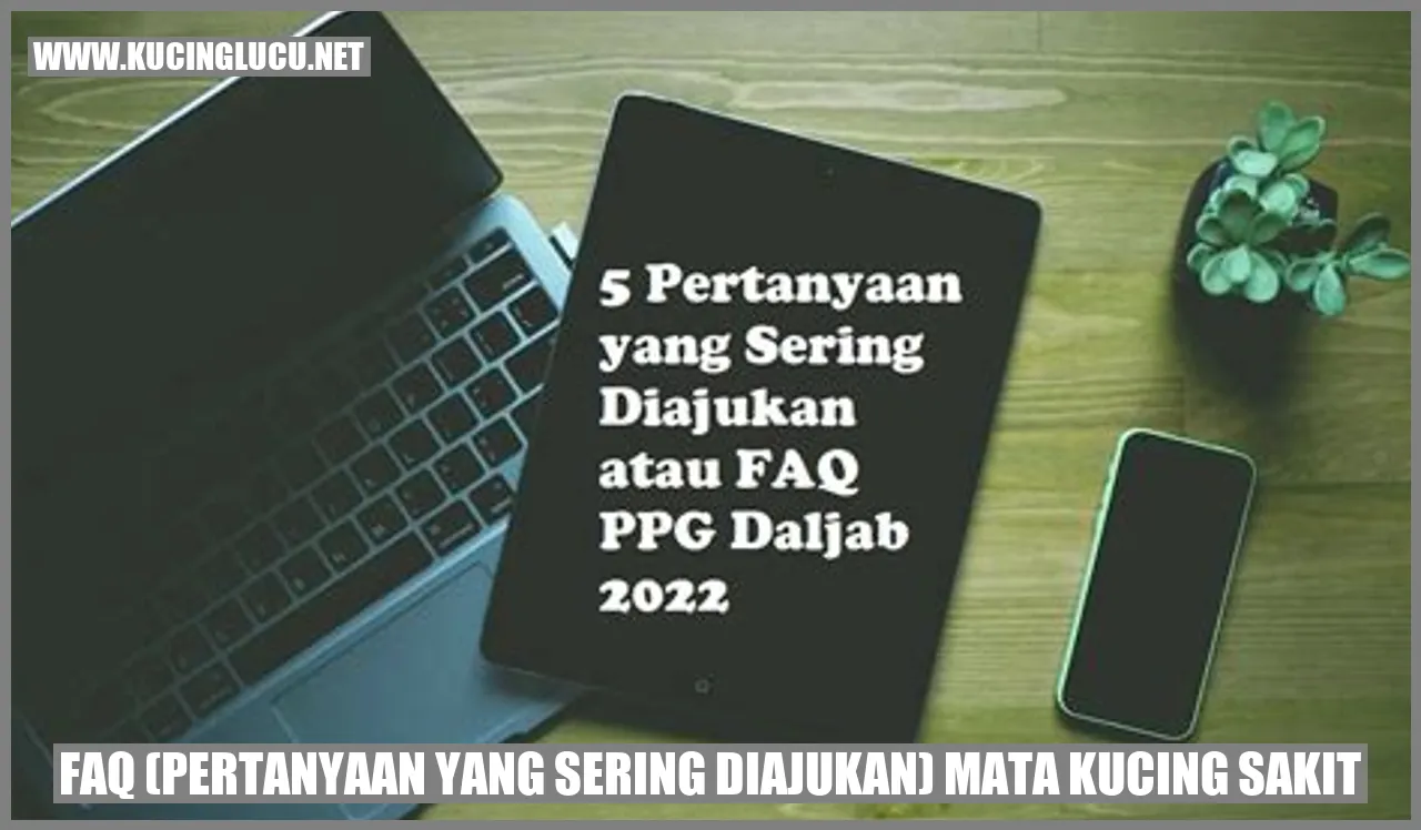 Mata Kucing Sakit