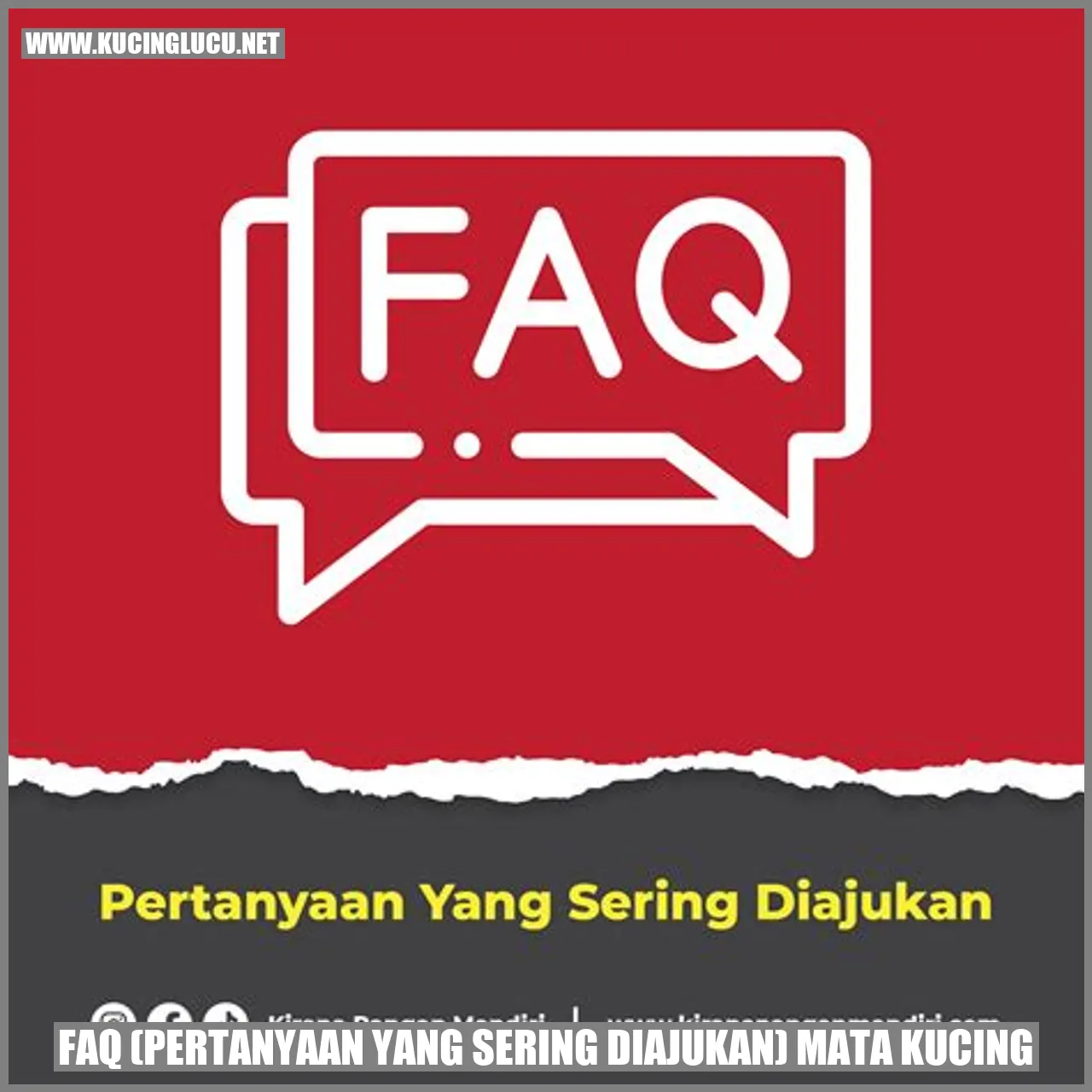 Pertanyaan yang Sering Diajukan tentang Mata Kucing