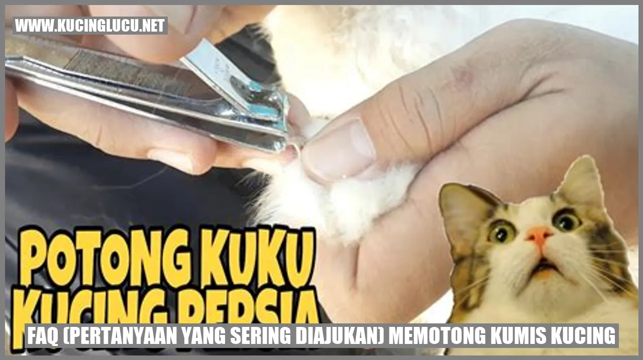 Memotong Kumis Kucing