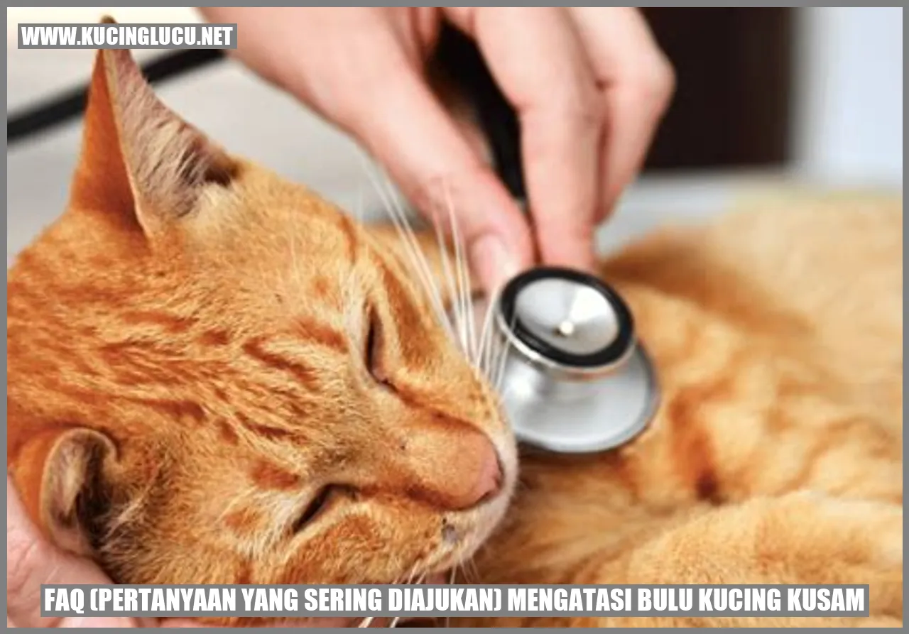 Bulu kucing kusam