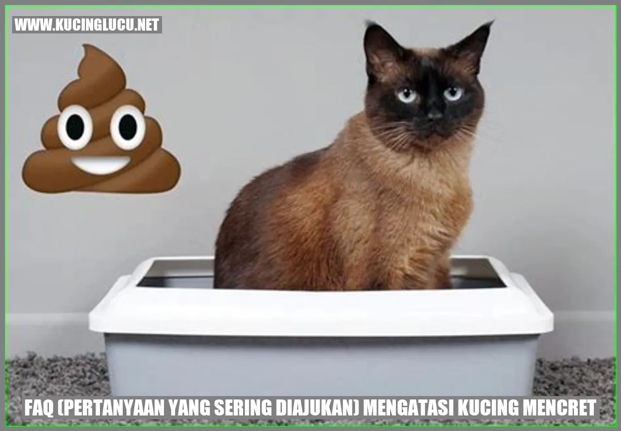 Kucing Mencret